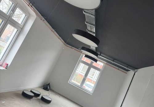 PurElectric-Haucap-1