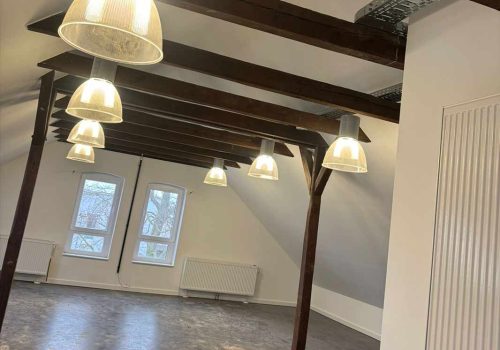 PurElectric-Haucap-3